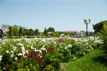 Heydər Əliyev parkı yaz fəslində