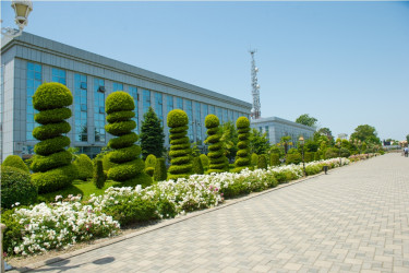 Heydər Əliyev parkı yaz fəslində