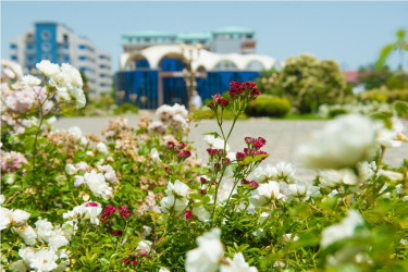 Heydər Əliyev parkı yaz fəslində