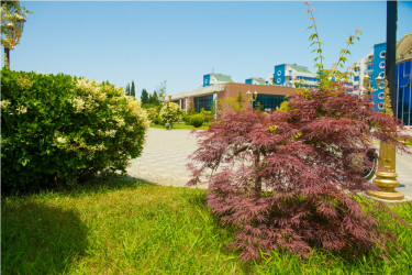 Heydər Əliyev parkı yaz fəslində