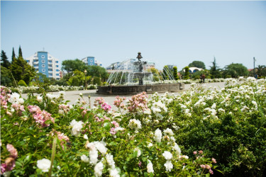 Heydər Əliyev parkı yaz fəslində