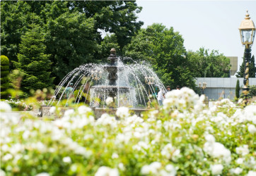 Heydər Əliyev parkı yaz fəslində